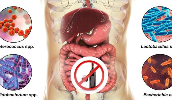 Tác hại của rượu bia với lợi khuẩn đường ruột